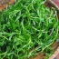 Rau đắng đất tươi ngon, an toàn